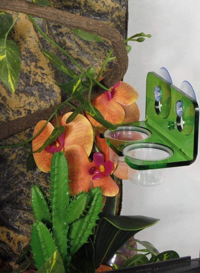 WOLEDOE 1oz Crested Gecko Food Cups, 100Pcs Reptile Plastic Feeding Dish - Image 3